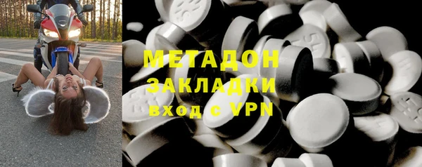 сатива Каменка