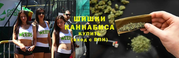 стафф Каменногорск