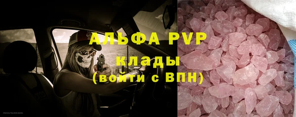 сатива Каменка