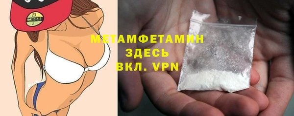 сатива Каменка
