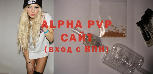 сатива Каменка