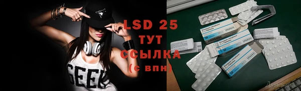 сатива Каменка