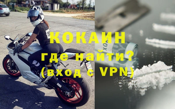 сатива Каменка