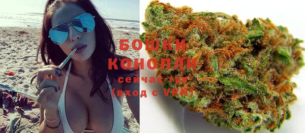 стафф Каменногорск