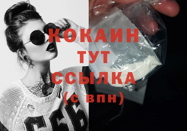 сатива Каменка