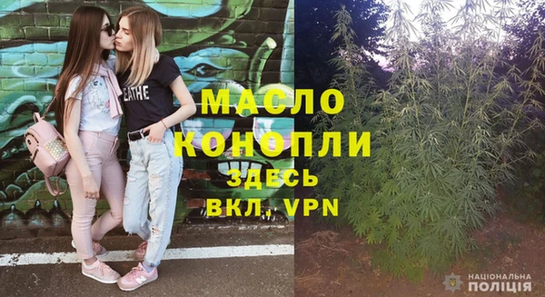 стафф Каменногорск
