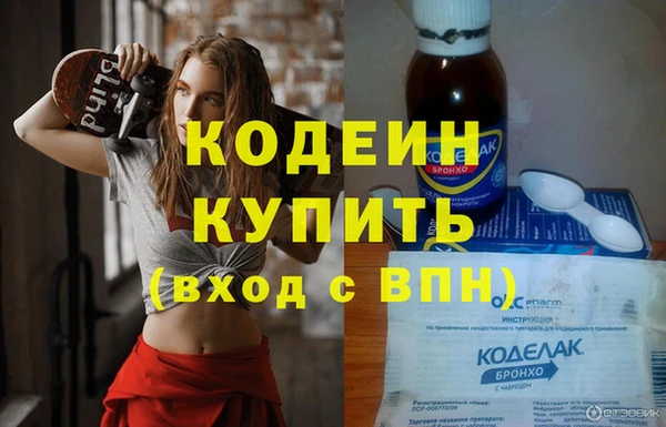 сатива Каменка