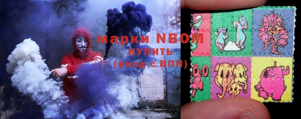 стафф Каменногорск