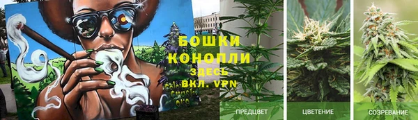 стафф Каменногорск