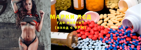 сатива Каменка