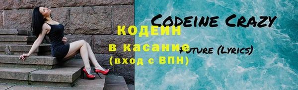 сатива Каменка