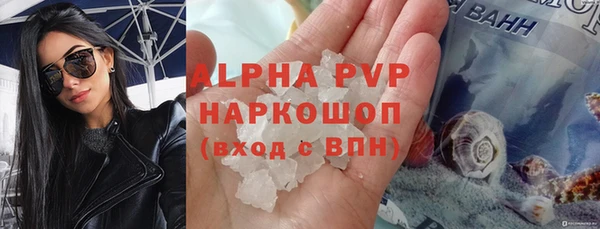 стафф Каменногорск