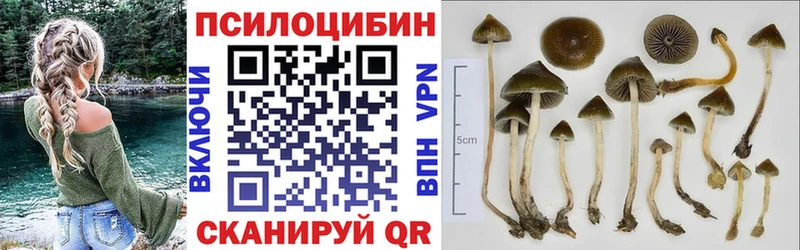 Купить закладки  Белоусово  Галлюциногенные грибы прущие грибы 